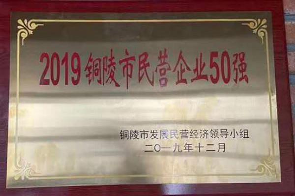 2019銅陵市民營企業50強